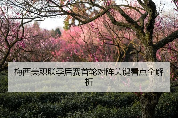 梅西美职联季后赛首轮对阵关键看点全解析