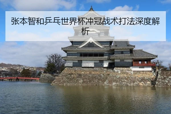 张本智和乒乓世界杯冲冠战术打法深度解析